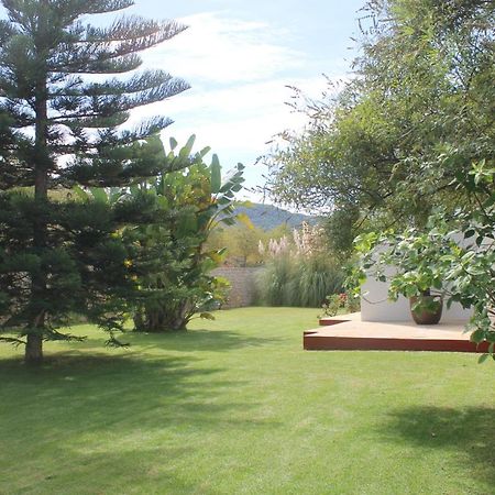 Villa Ca Na Vinya Cala Tarida  Dış mekan fotoğraf