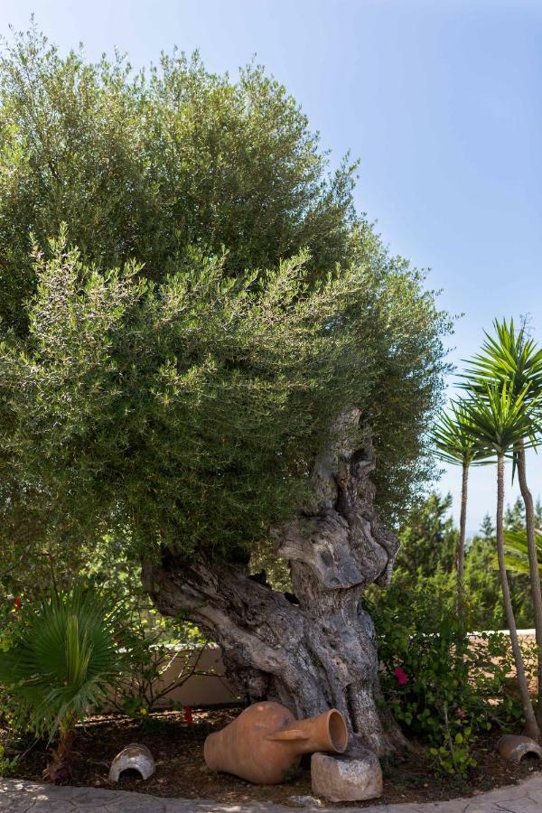 Villa Ca Na Vinya Cala Tarida  Dış mekan fotoğraf